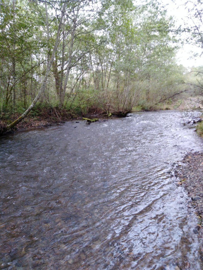 IMG_20200913_102900.jpg