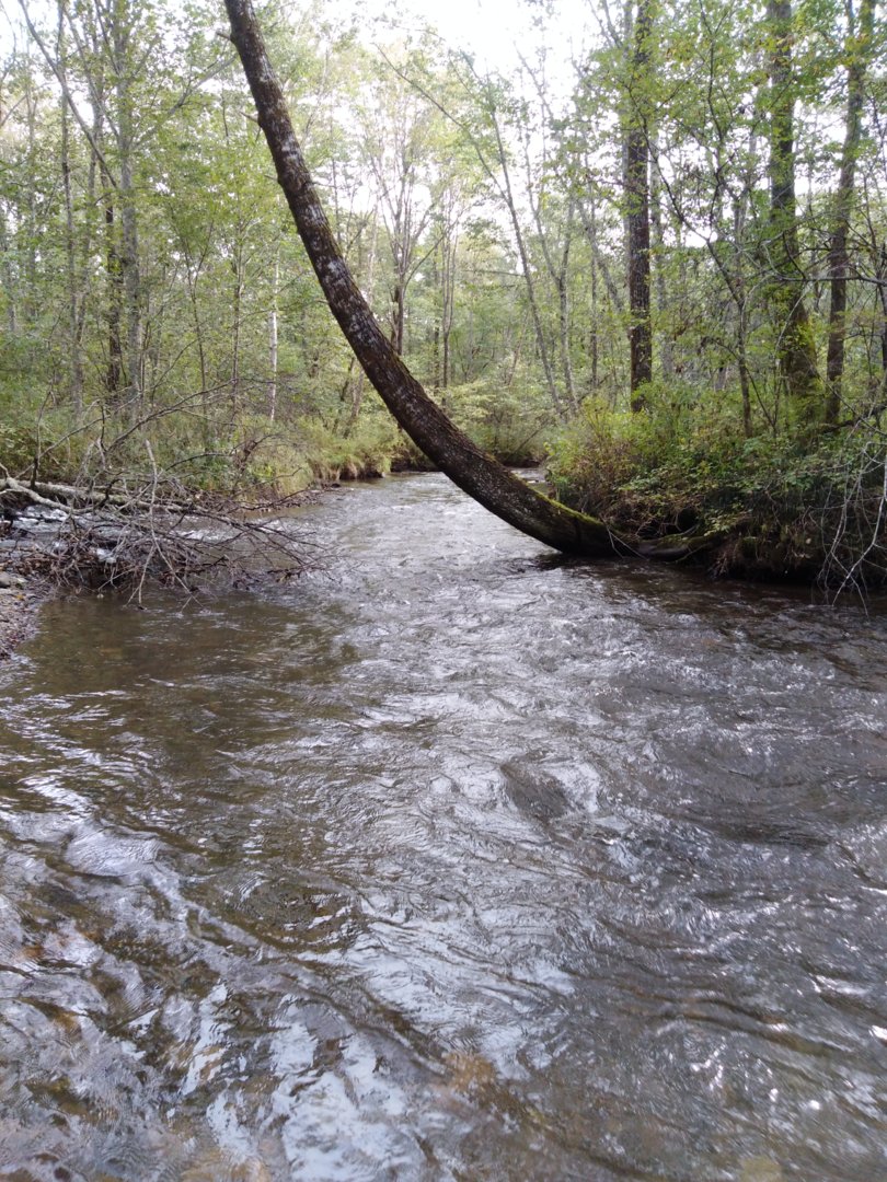IMG_20200913_105300.jpg