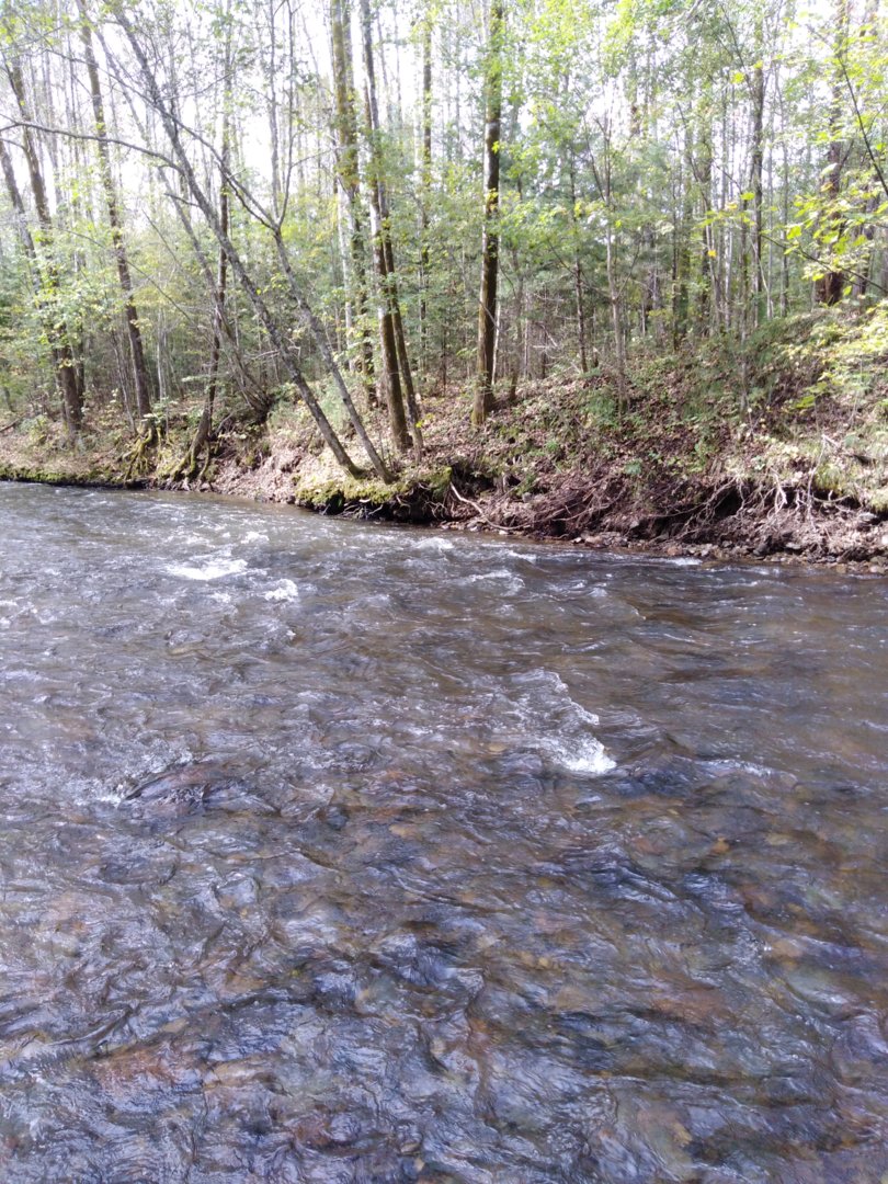 IMG_20200913_120656.jpg