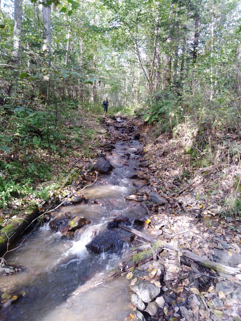 IMG_20200913_153038.jpg