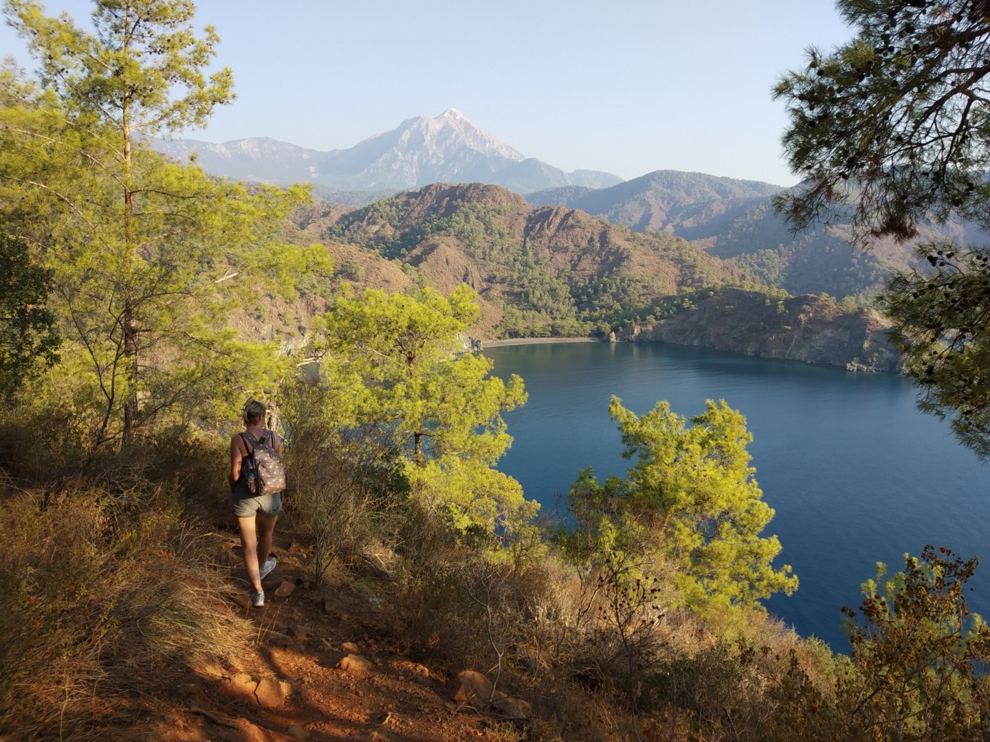 IMG_20200914_081557.jpg