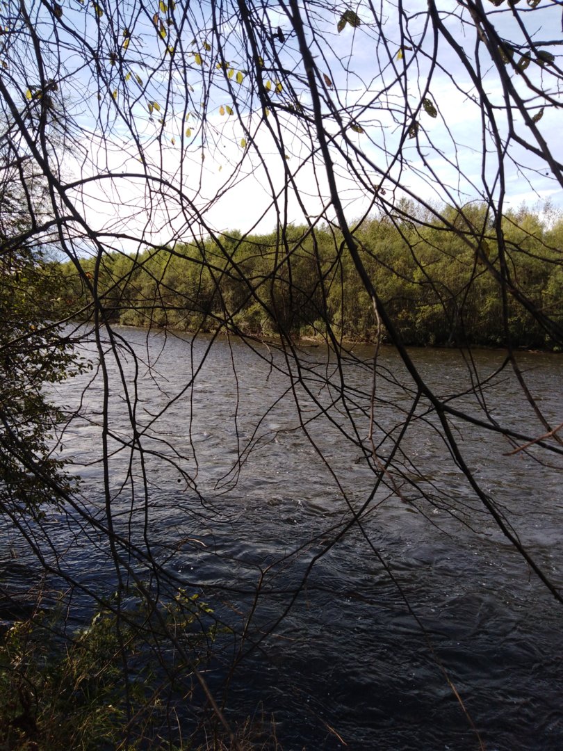 IMG_20200914_105353.jpg