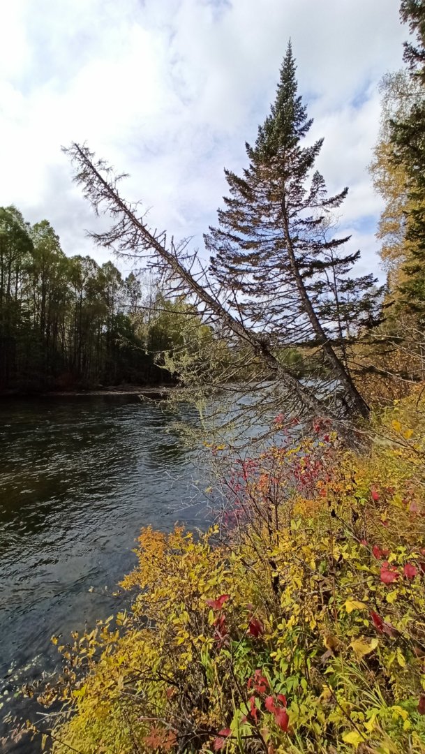 IMG_20200925_144737.jpg
