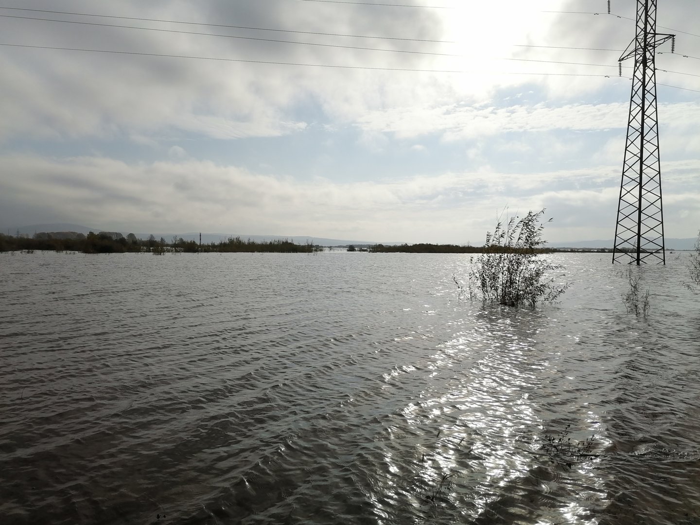 IMG_20200926_092410.jpg