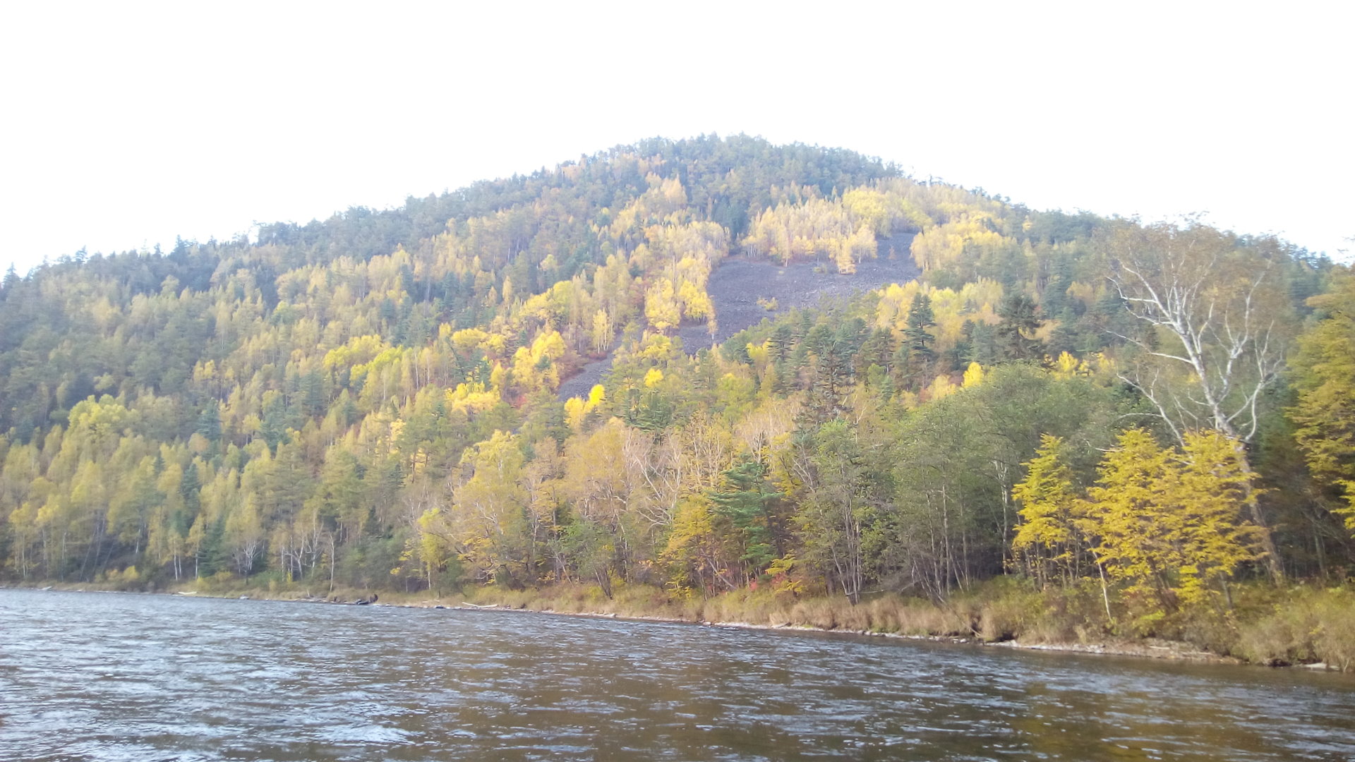 IMG_20200926_170427.jpg