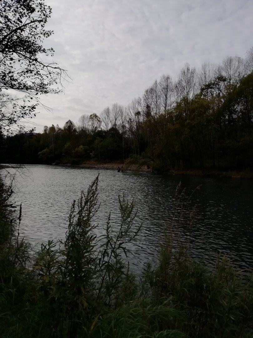 IMG_20200927_103632.jpg