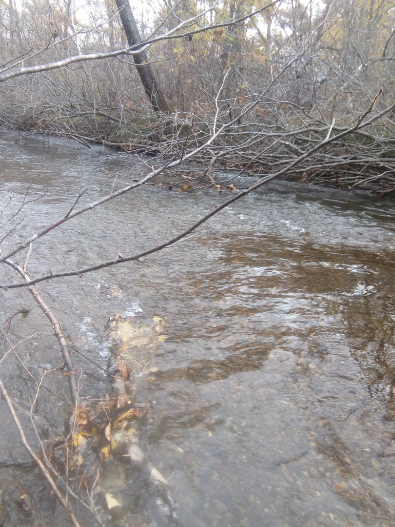 IMG_20201007_121615.jpg