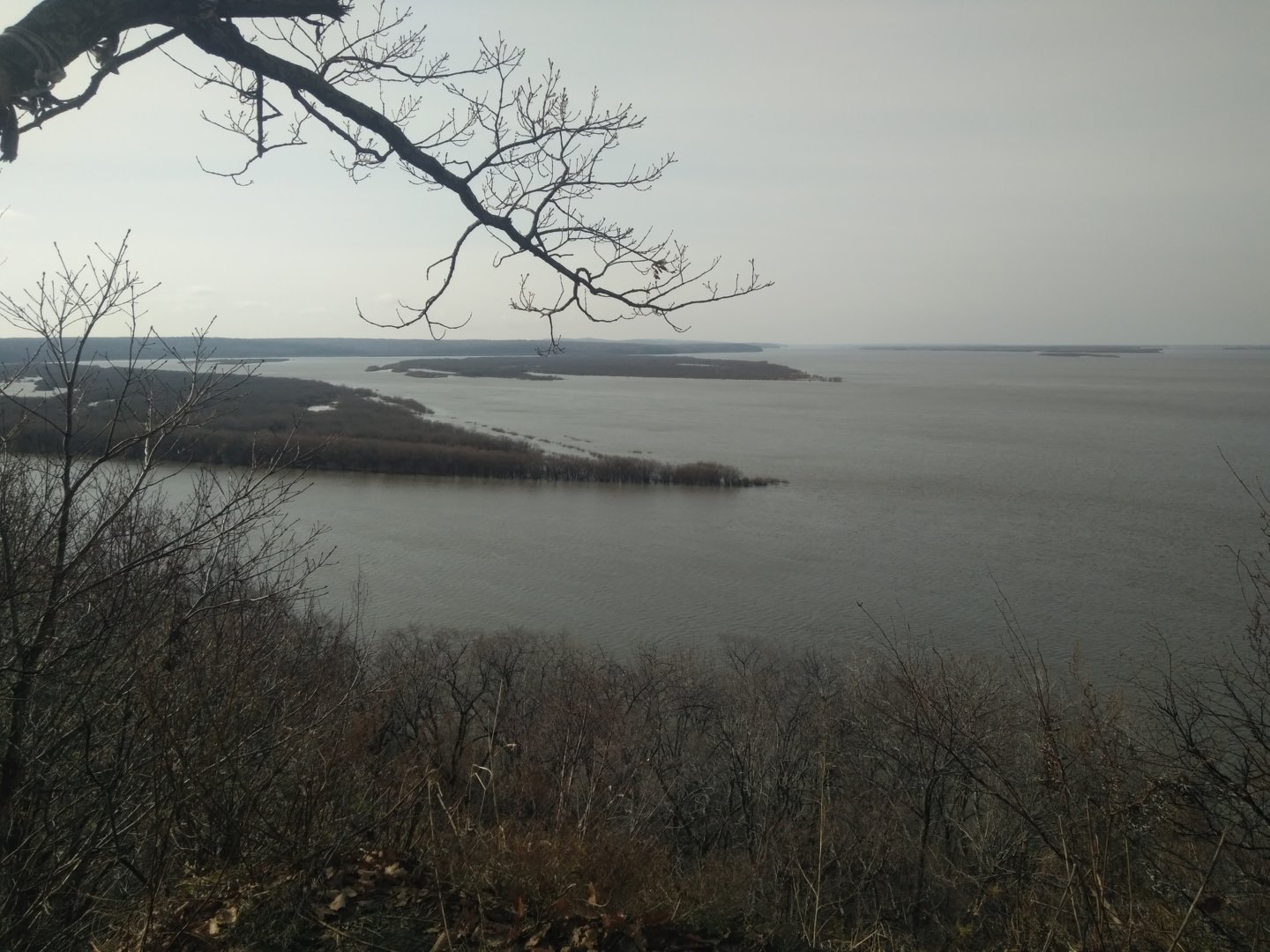 IMG_20201031_111153.jpg