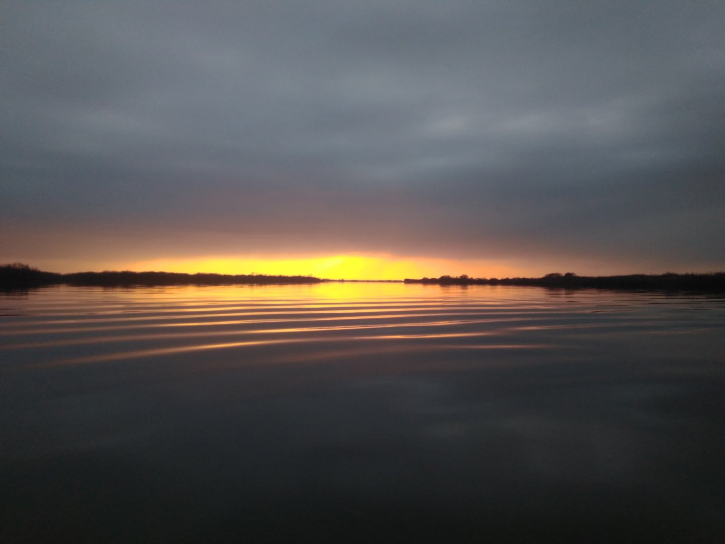 IMG_20201101_165615.jpg