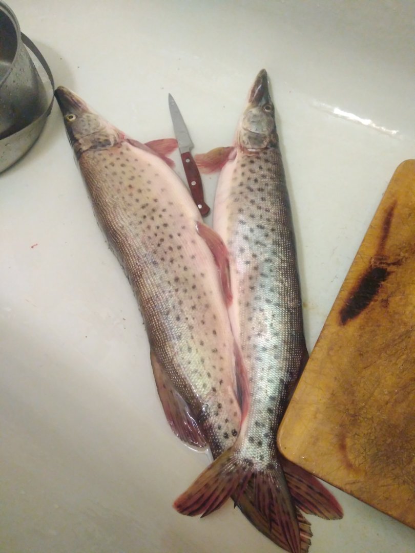 IMG_20201101_233054.jpg