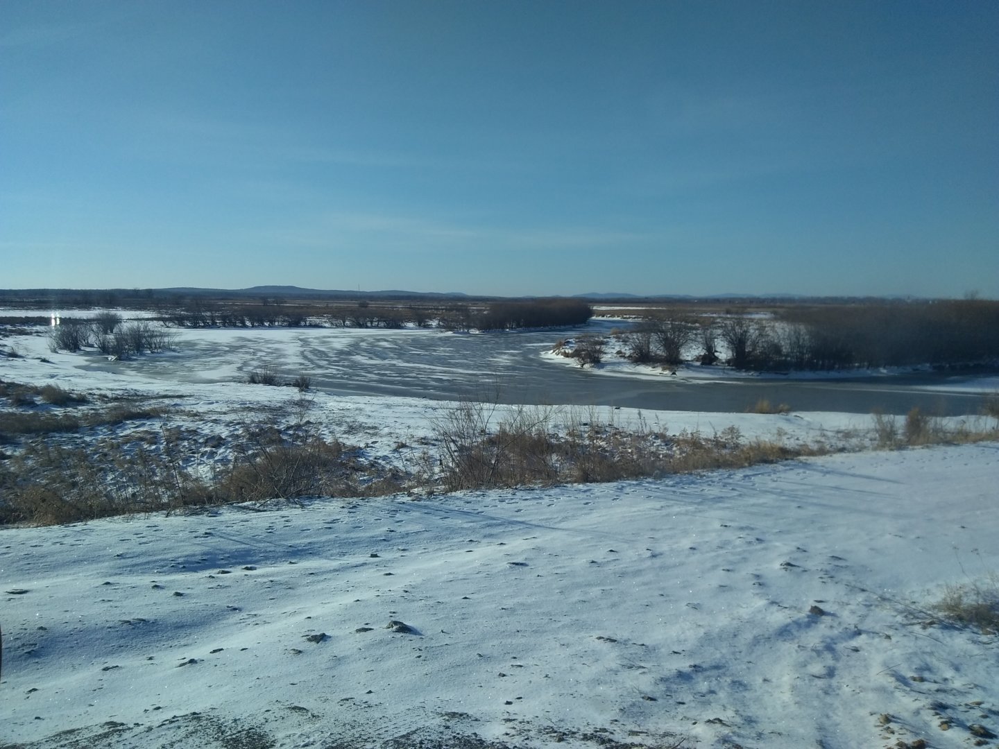 IMG_20201114_101403.jpg