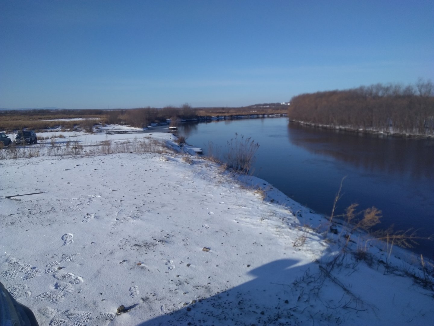 IMG_20201114_102440.jpg