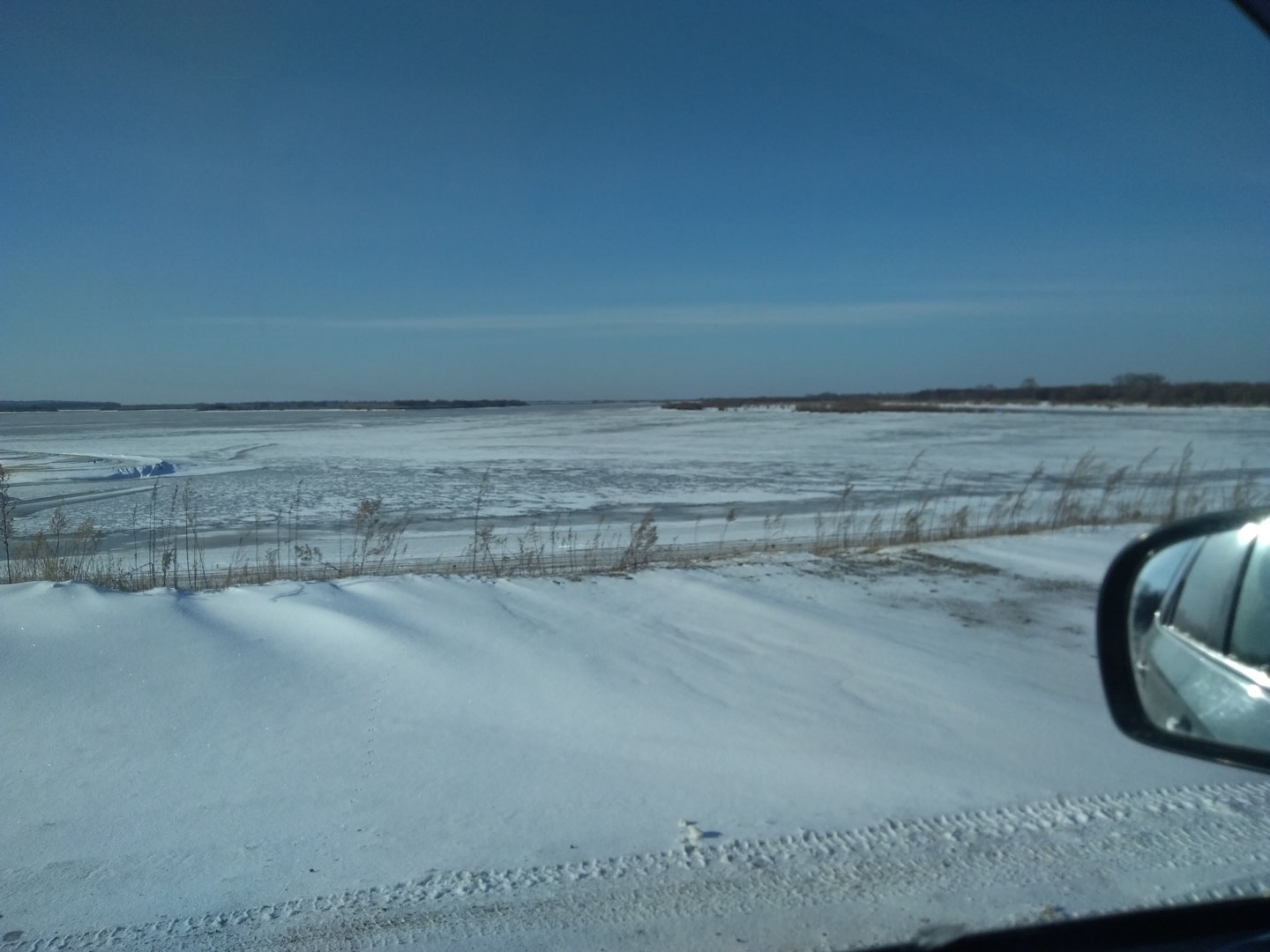 IMG_20201114_111225.jpg