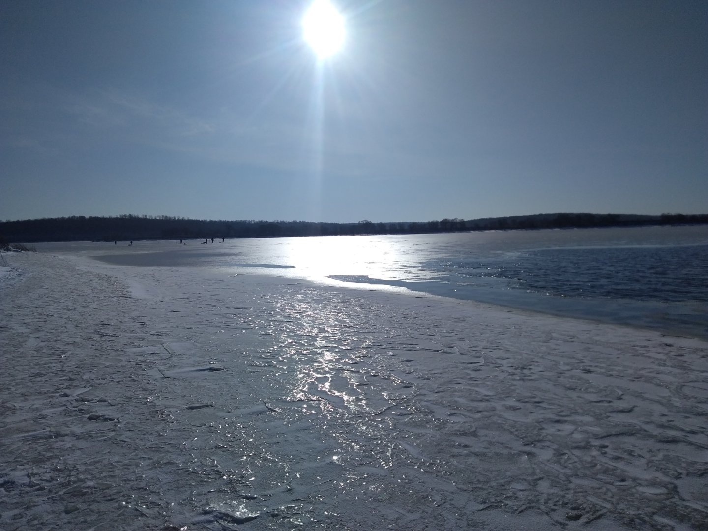 IMG_20201114_112404.jpg
