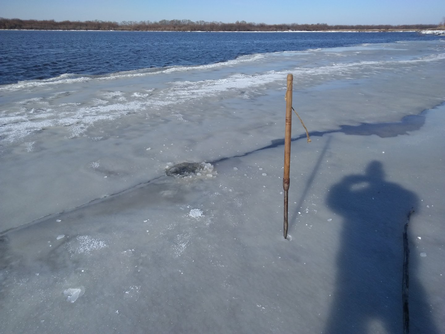 IMG_20201114_120135.jpg