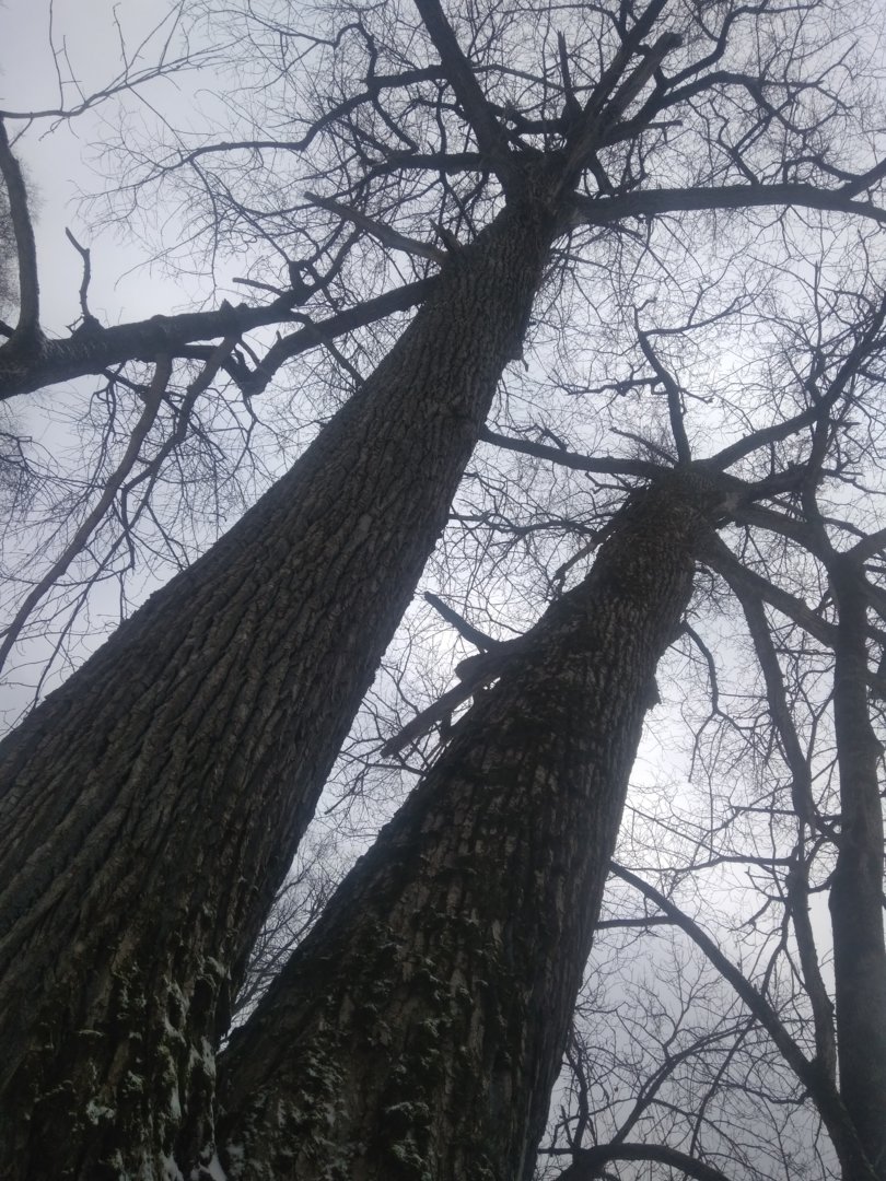 IMG_20201114_122346.jpg
