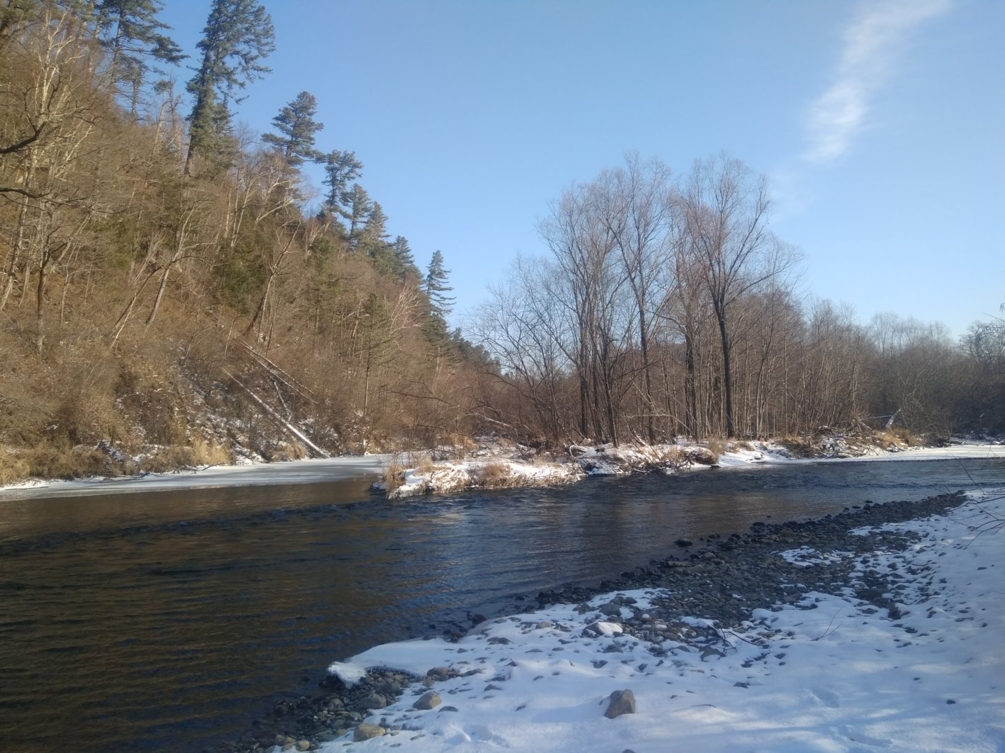 IMG_20201115_104546.jpg