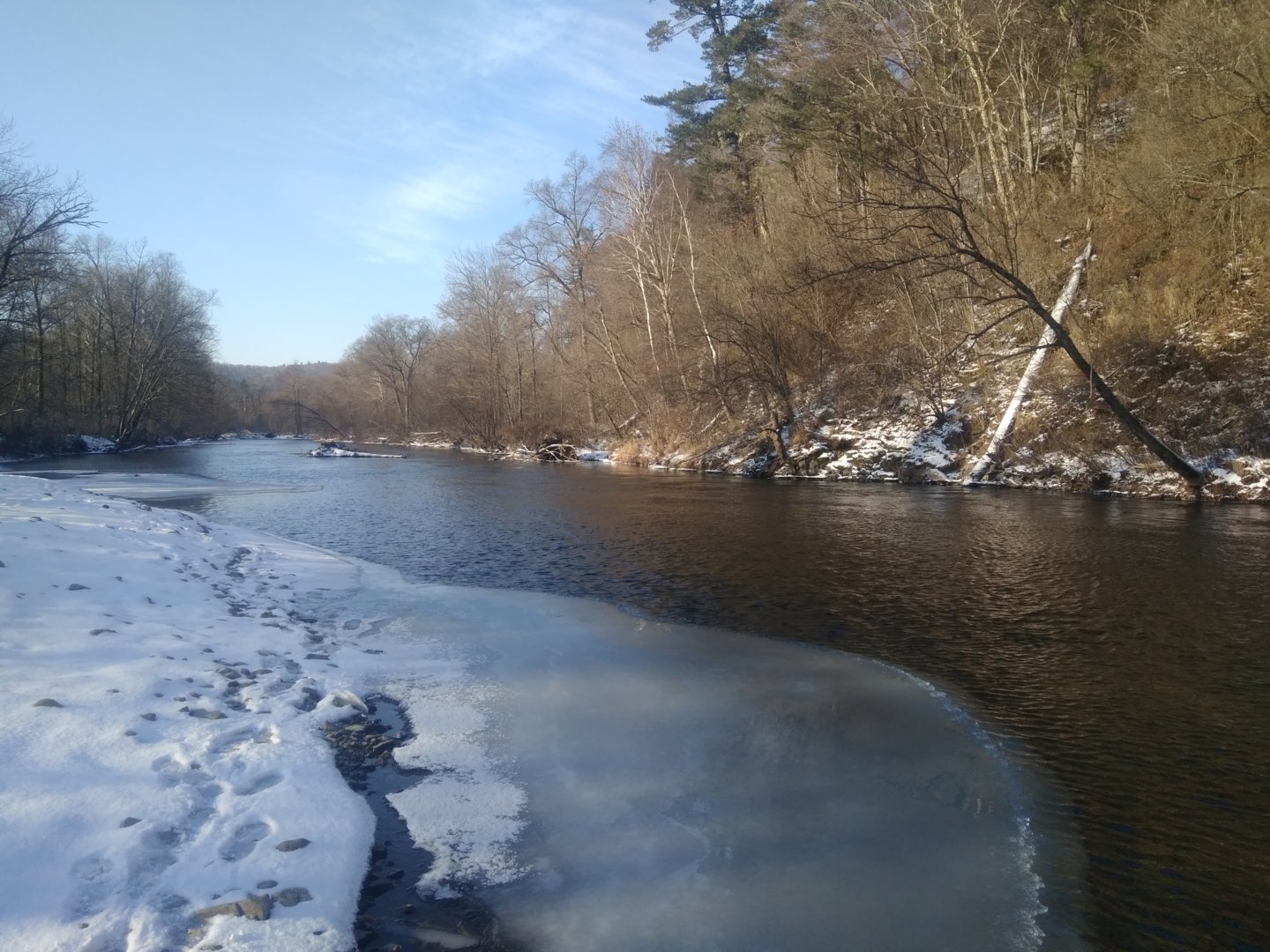 IMG_20201115_104623.jpg