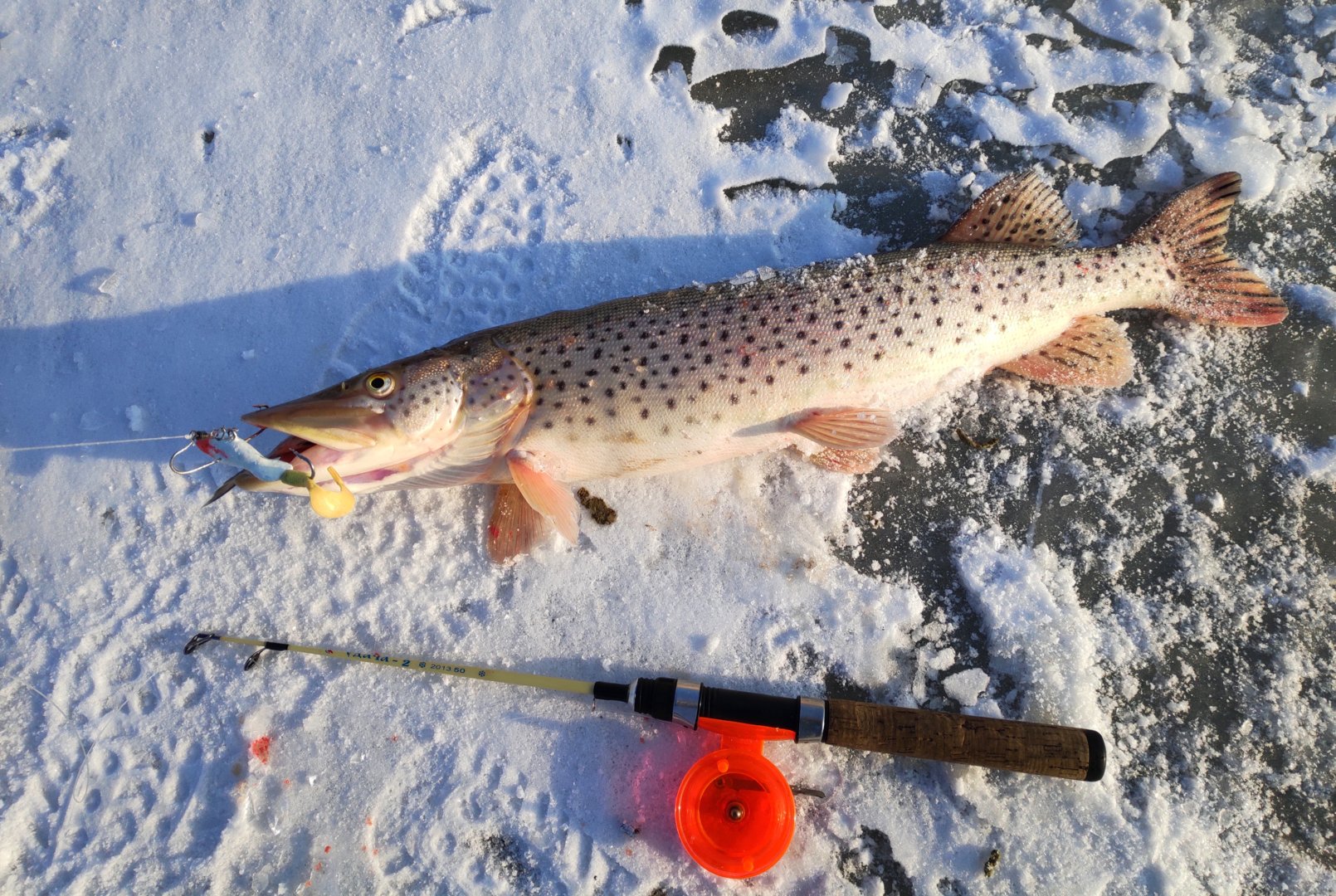 IMG_20201210_182749.jpg
