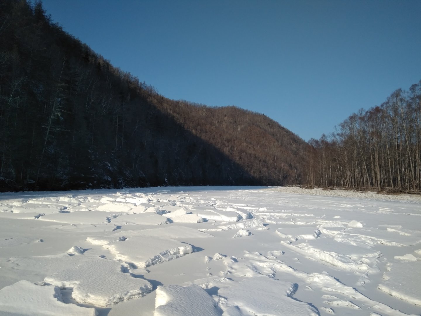 IMG_20201212_132357.jpg