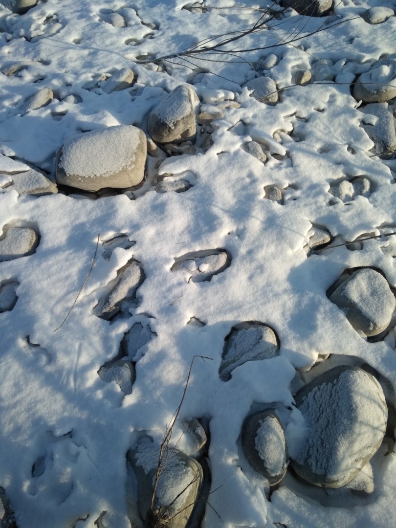 IMG_20201212_140110.jpg