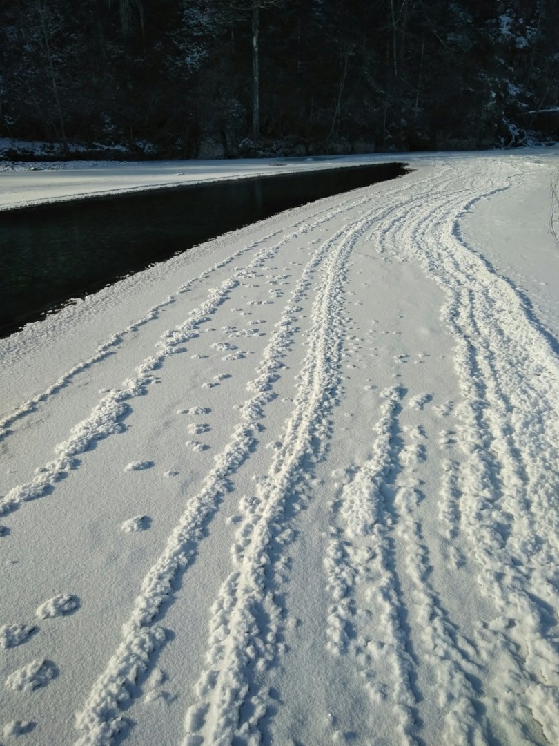 IMG_20201212_211839.jpg