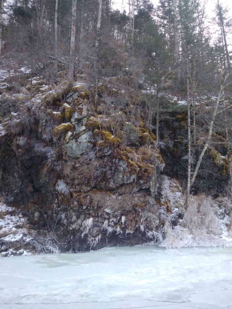 IMG_20201214_135547.jpg