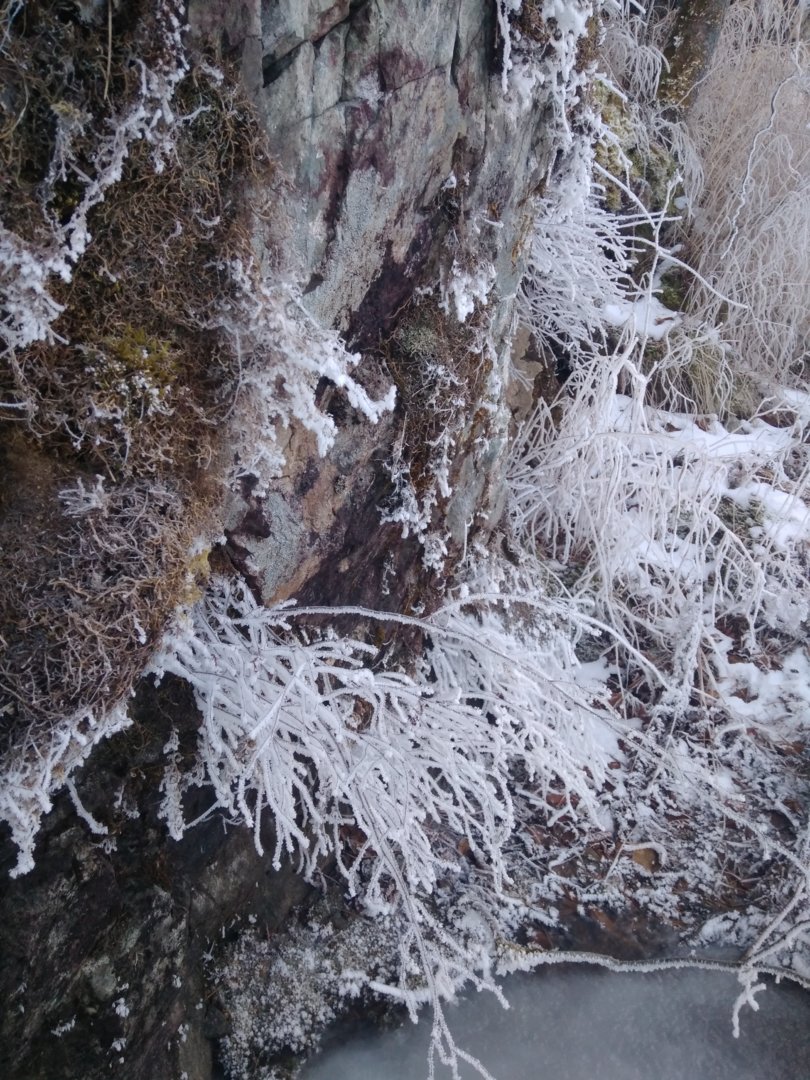 IMG_20201214_135738.jpg