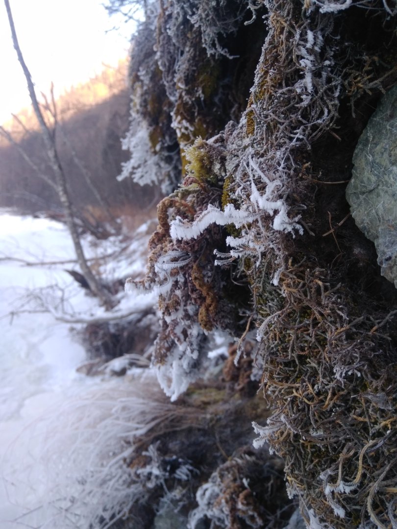 IMG_20201214_135822.jpg