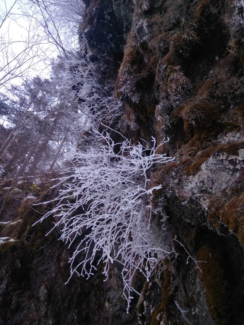 IMG_20201214_135949.jpg