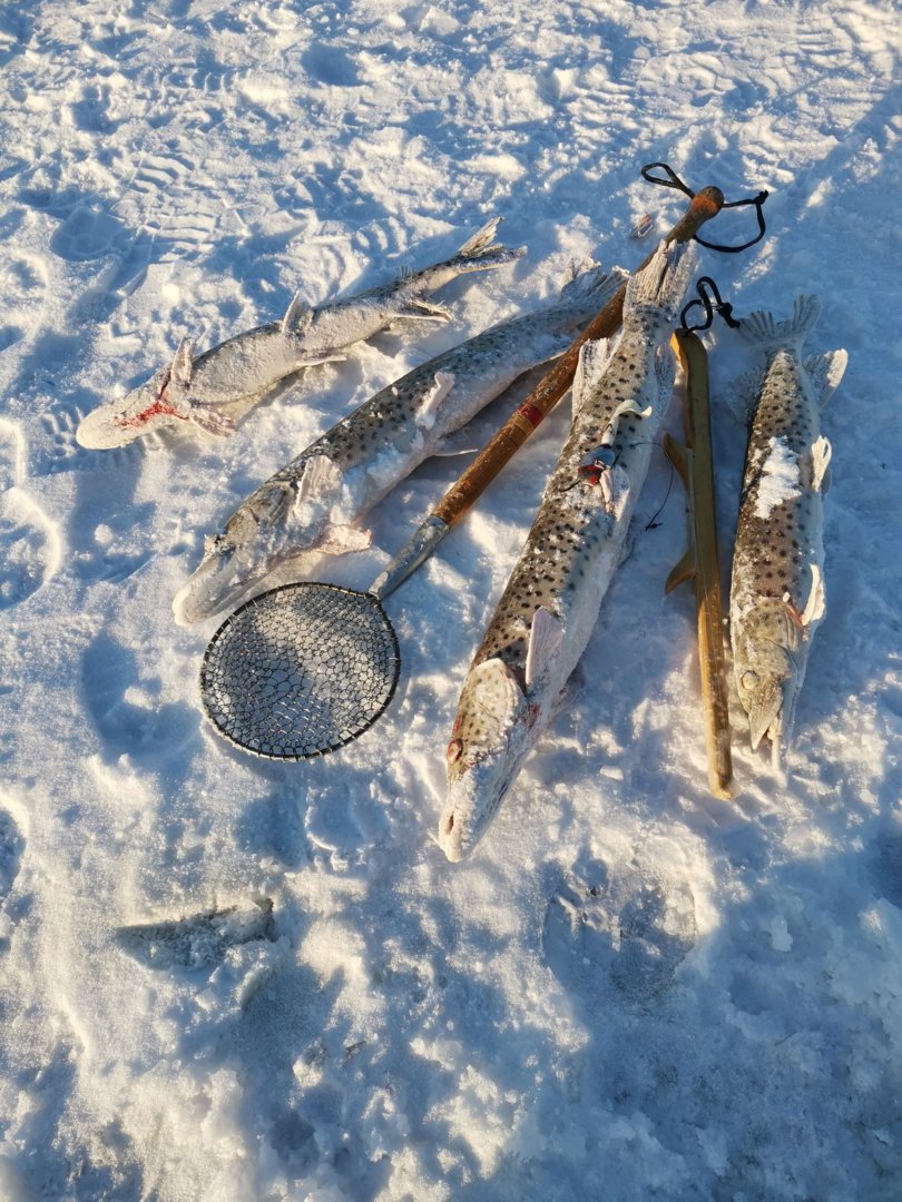IMG_20201219_152736.jpg