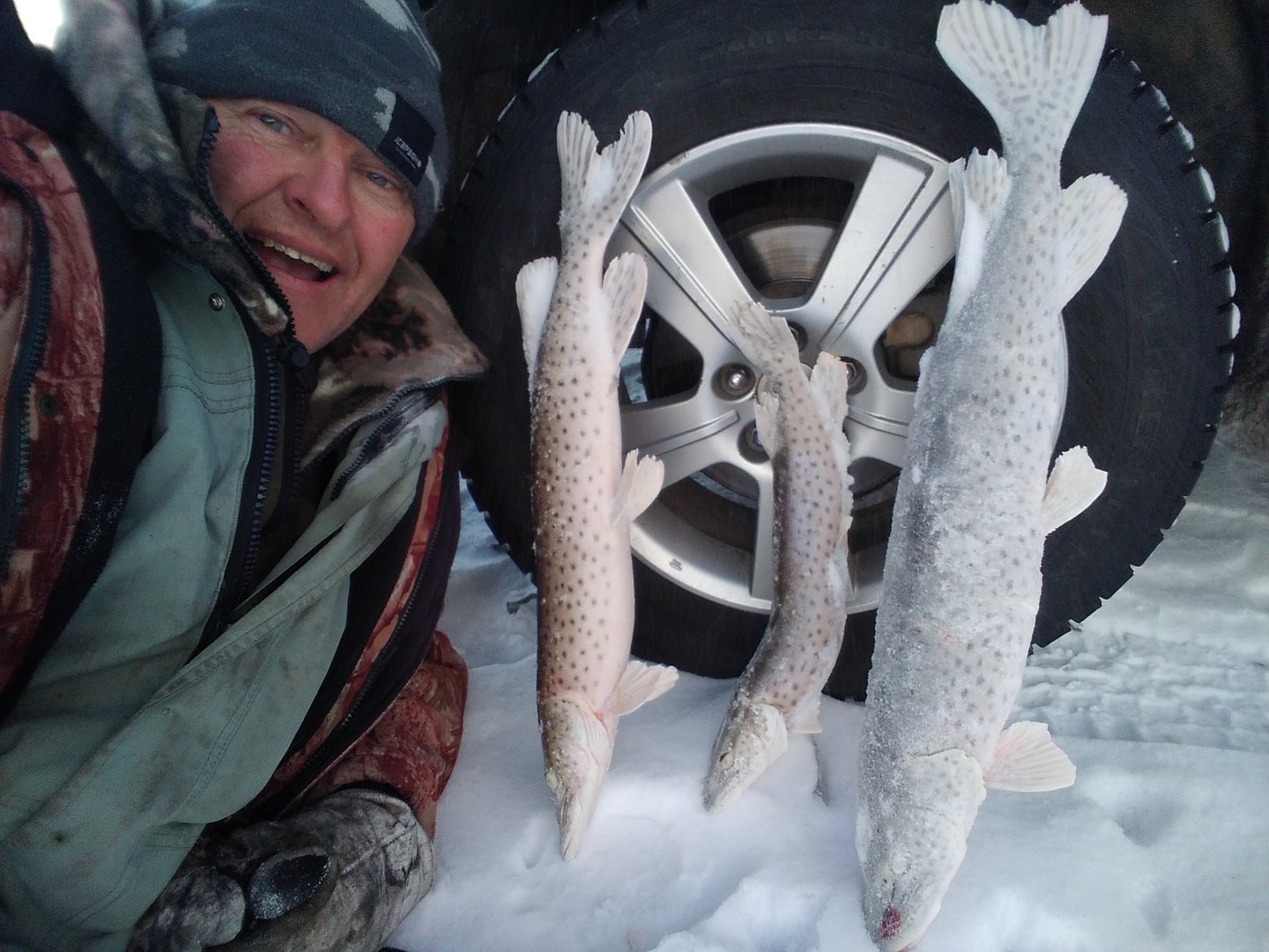 IMG_20201226_161101.jpg IMG_20201226_161101.jpg