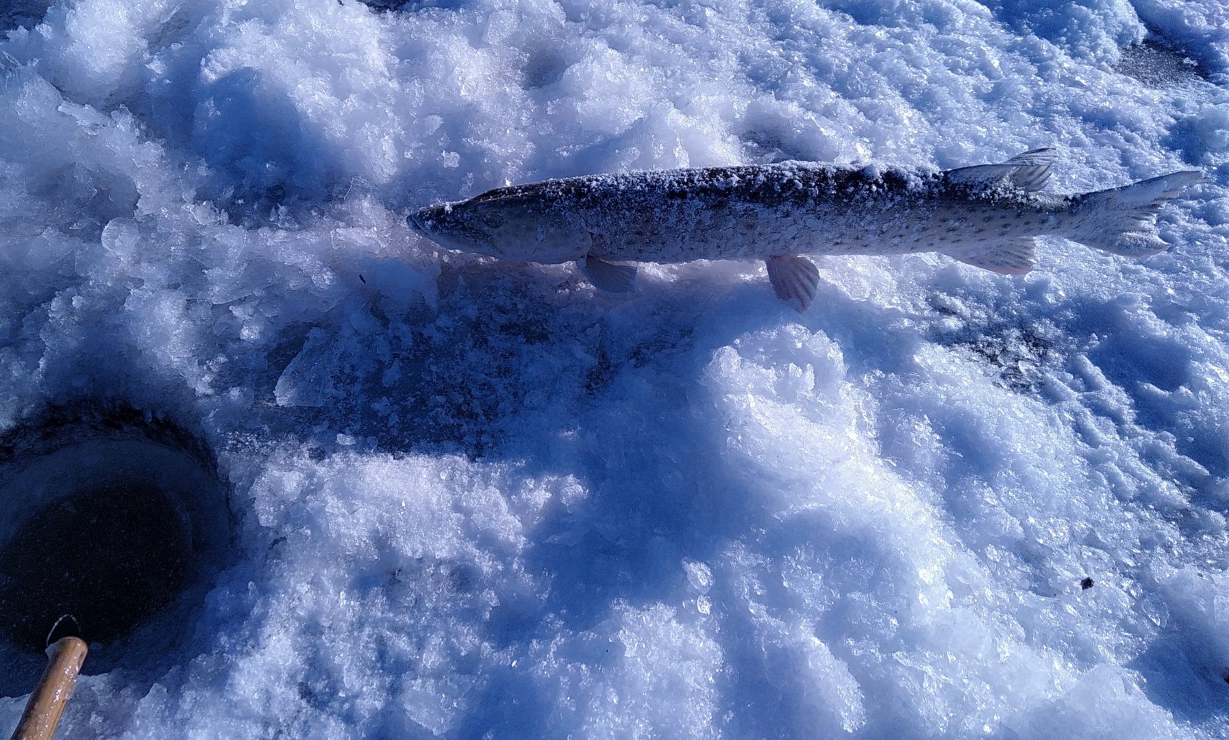 IMG_20201226_181743.jpg