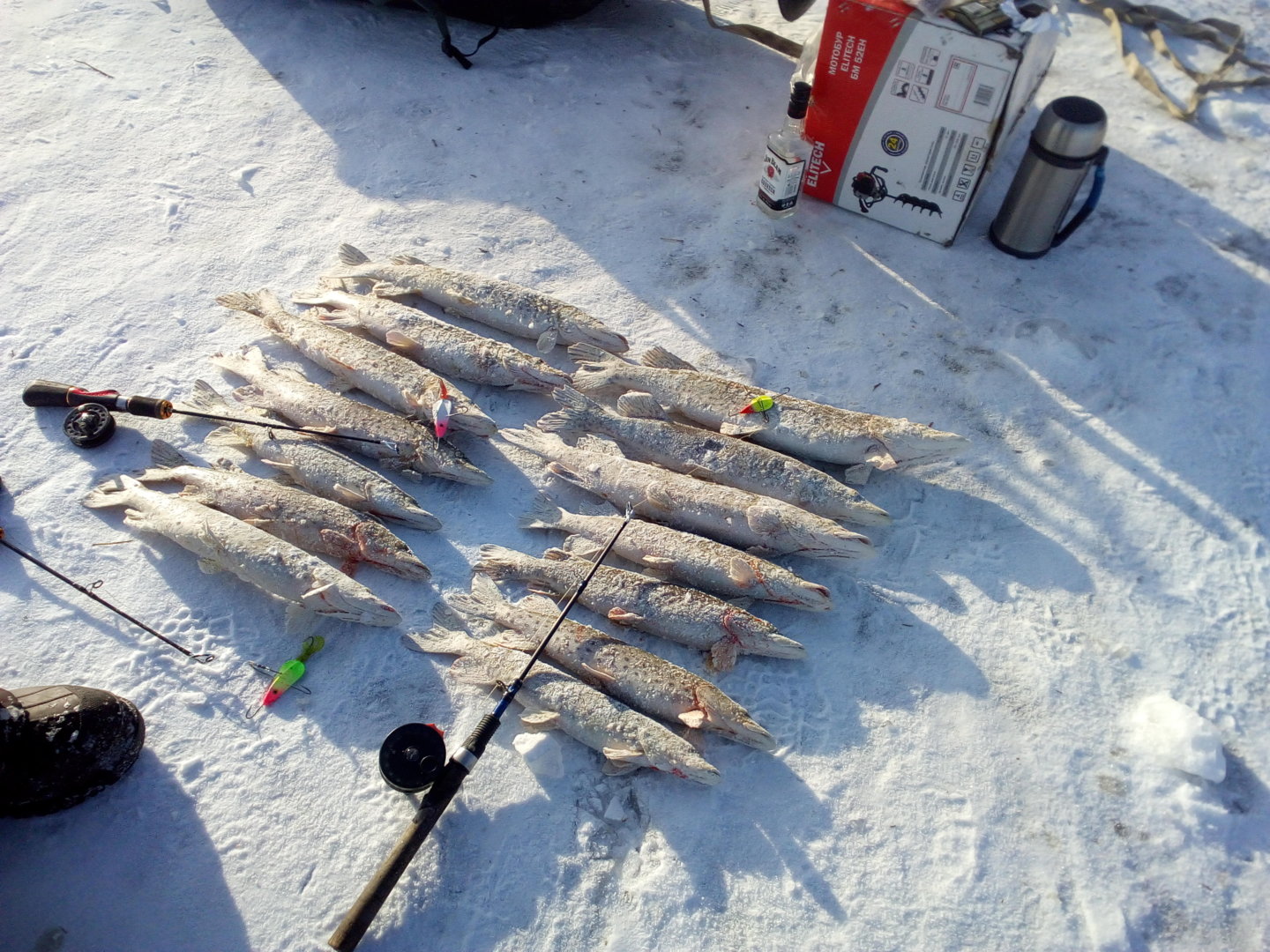 IMG_20210106_150623.jpg