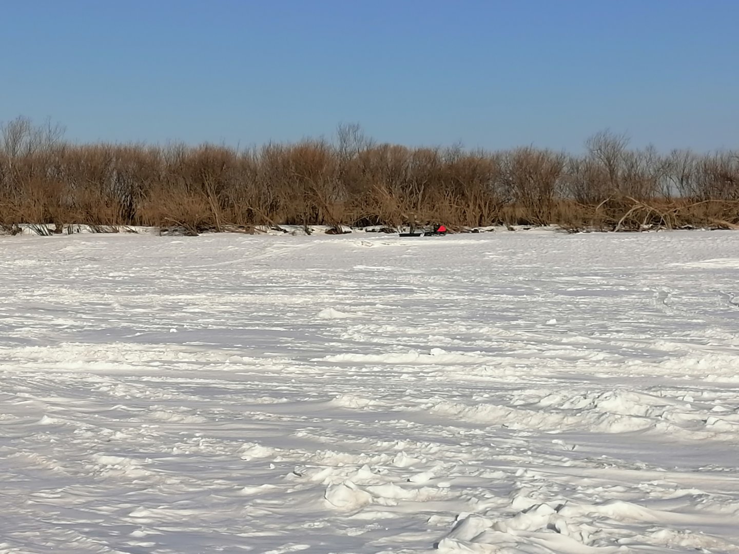 IMG_20210311_090824.jpg