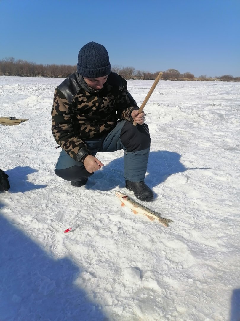 IMG_20210311_142429.jpg