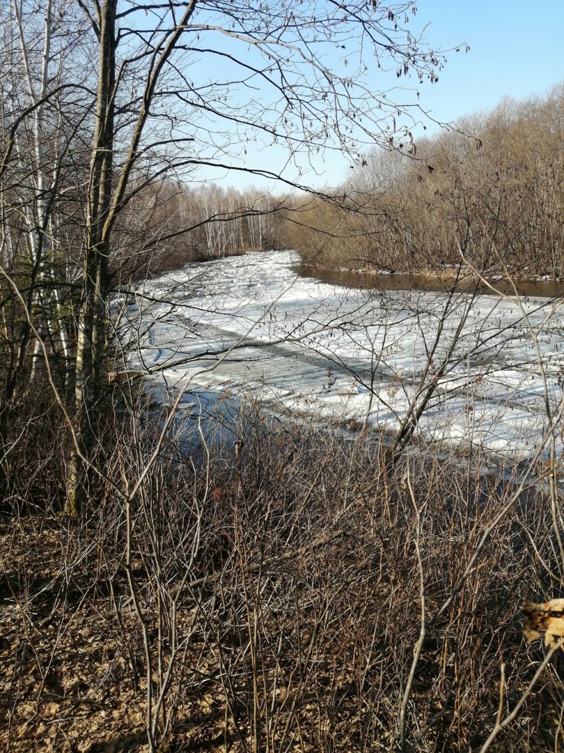 IMG_20210410_091654.jpg
