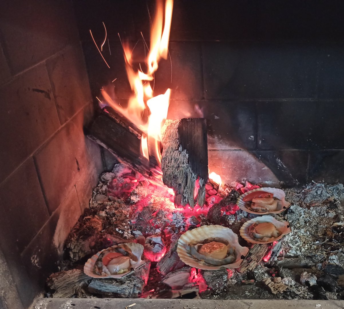 IMG_20210411_212405.jpg