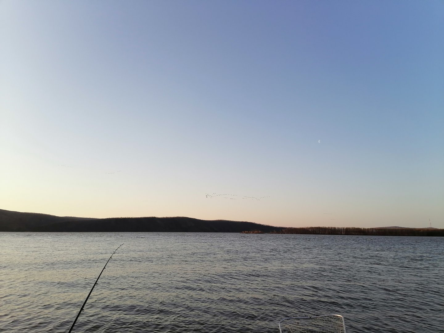 IMG_20210504_055256.jpg