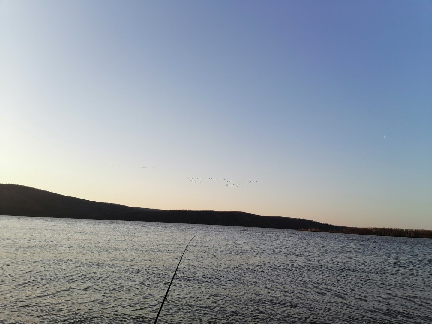 IMG_20210504_055301.jpg