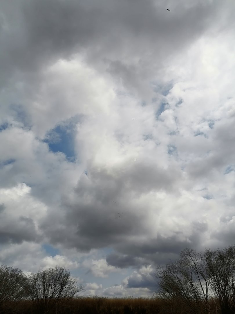 IMG_20210506_122222.jpg