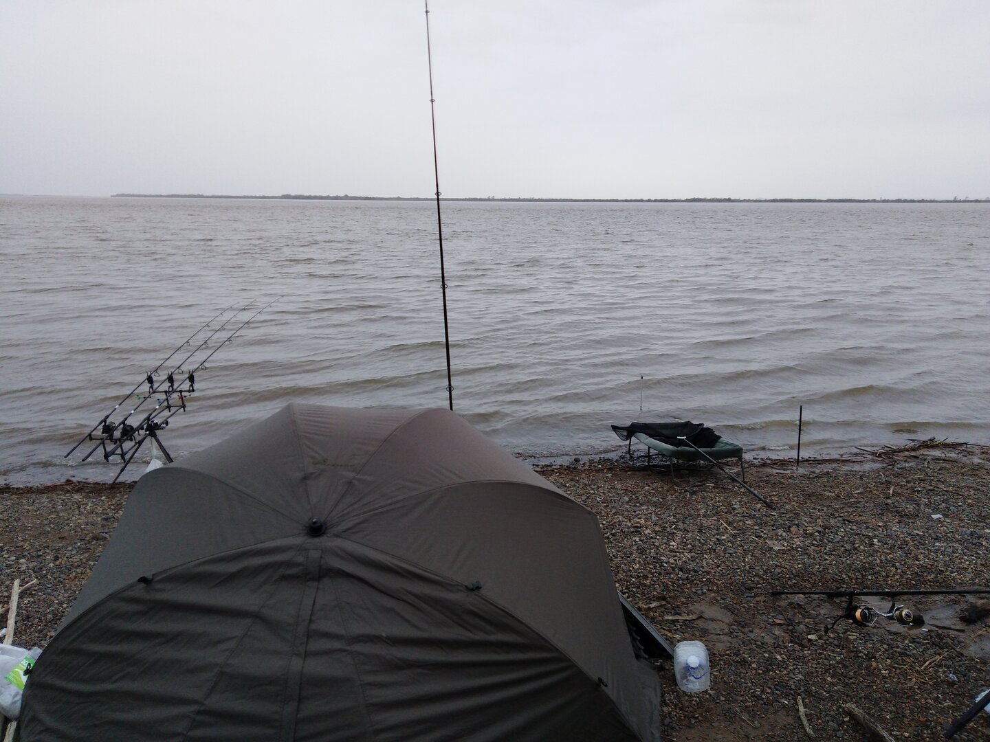IMG_20210512_193100.jpg