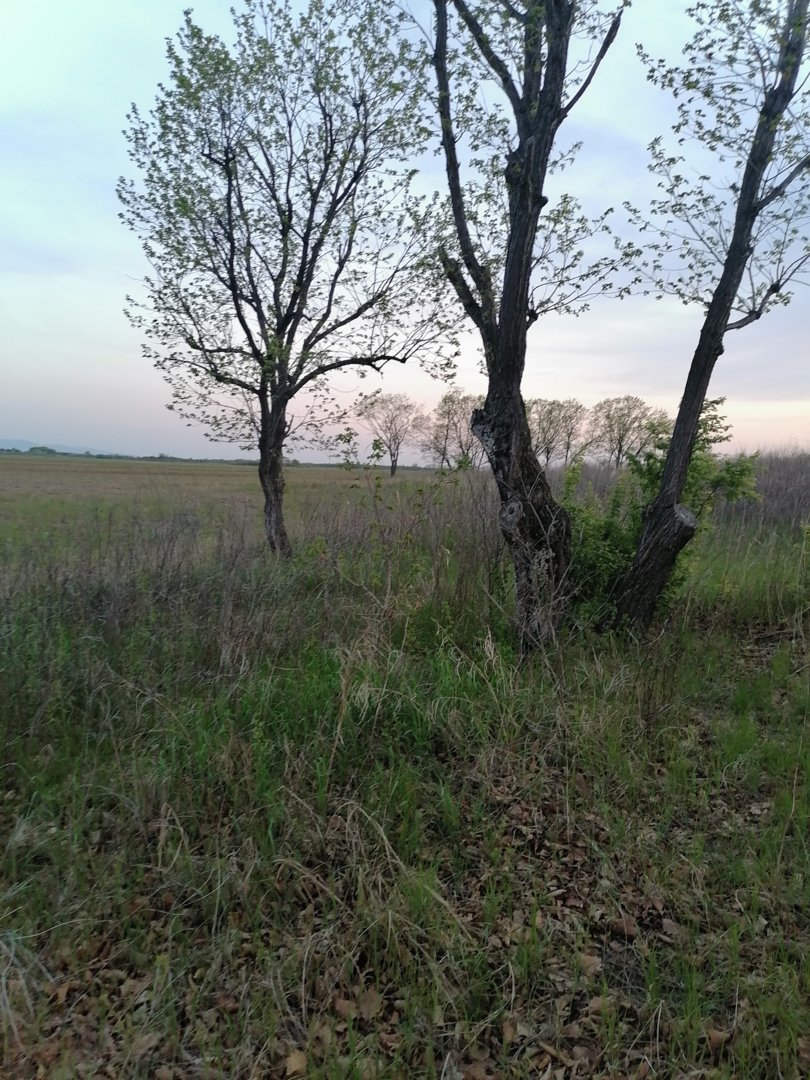 IMG_20210518_203440.jpg
