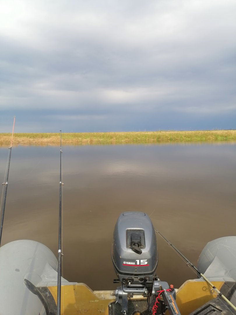 IMG_20210519_082448.jpg