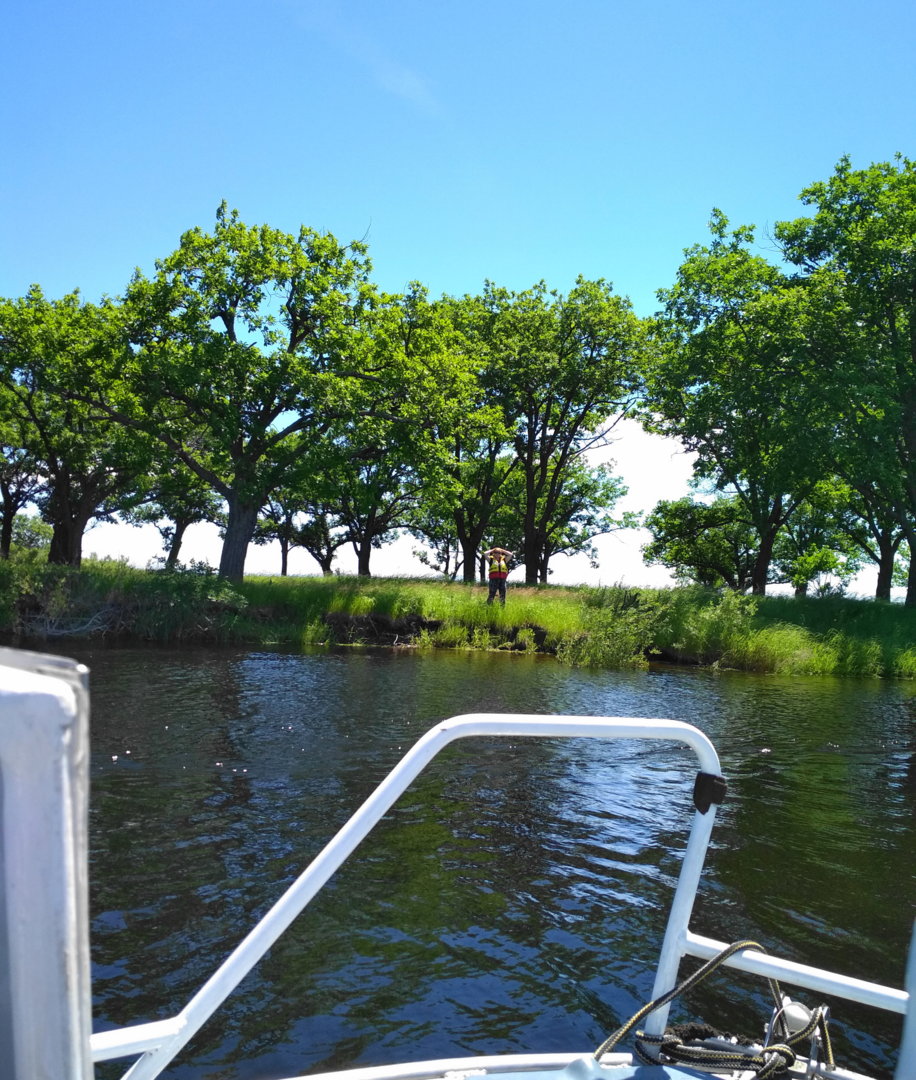 IMG_20210621_134953.jpg