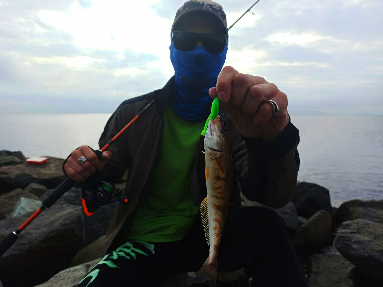 IMG_20210702_102812.jpg