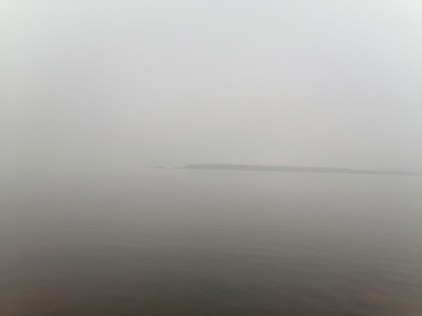 IMG_20210720_064235.jpg