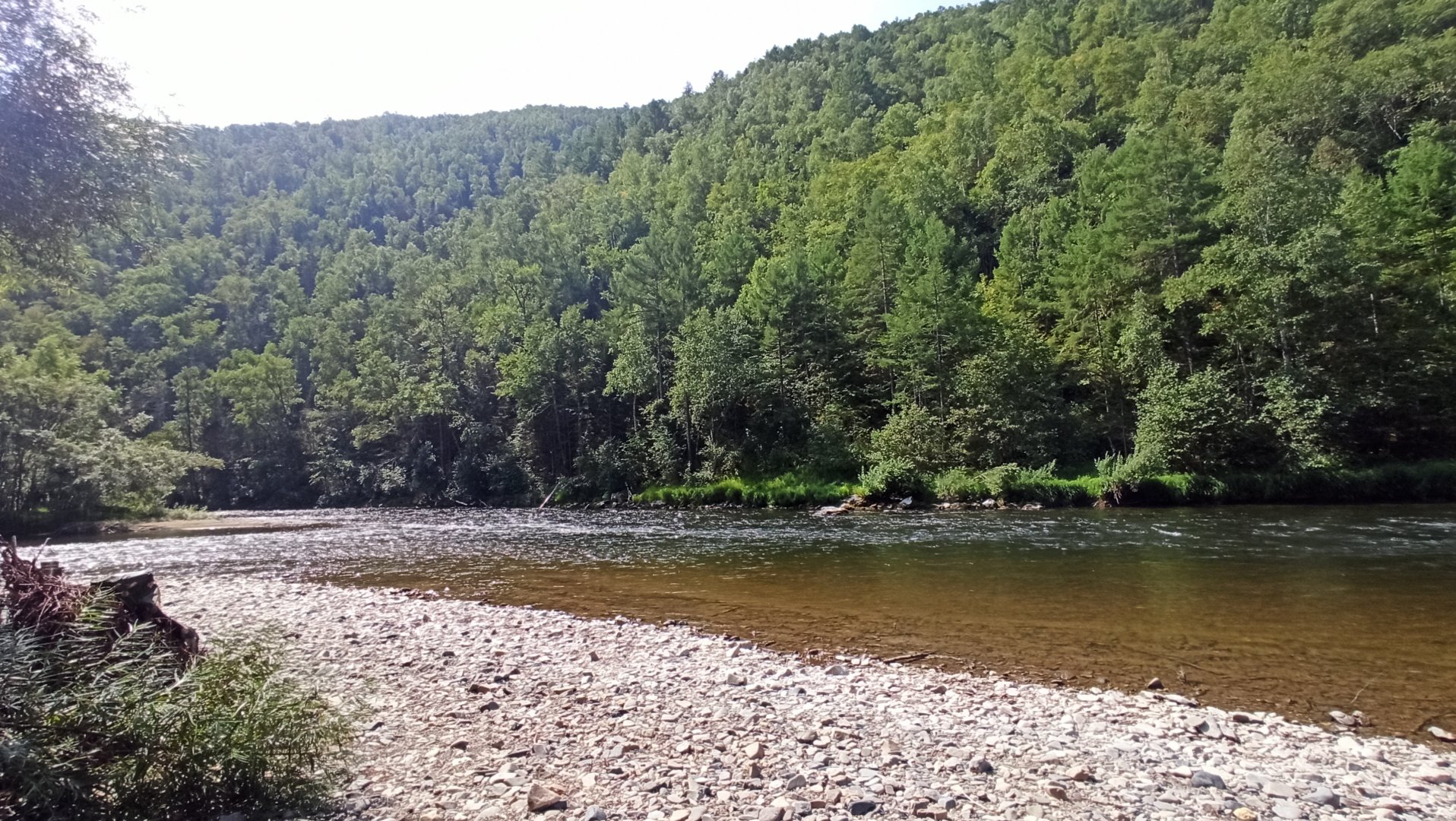 IMG_20210815_112350.jpg