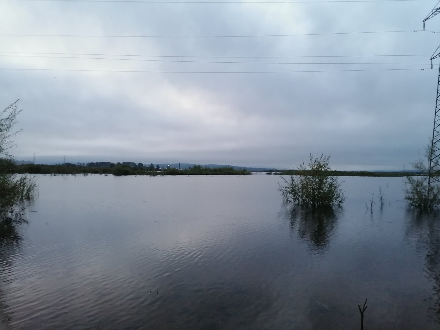 IMG_20210906_060156.jpg