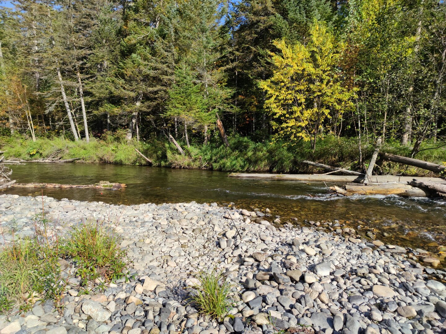 IMG_20210919_095410.jpeg